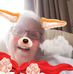Anne Eccles - Facebook