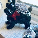 Anne-Marie Eccles - @twogomadatwaterside - Instagram