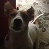 CharlotteAnneEccles - @miss_charløtte - TikTok