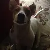 CharlotteAnneEccles - @charlotteanneeccles - TikTok