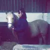 Ellie Anne Eccles - @elspovvsslives - TikTok