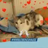 anneeckerthetzel - @anneeckerthetzel - TikTok