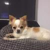 Anne Eckhardt628 - @anneeckhardt1908 - TikTok