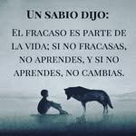 @sallyanne__eckhart03932 - Instagram