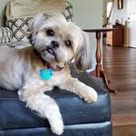 Ann Leffler Eckman - @anneckman - Instagram