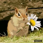 Anne Eckman - @anne.eckman.10 - Instagram