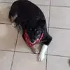 Anne Heckman - @anne.heckman - TikTok