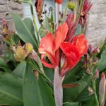 Anne Edgar - @aedh_52 - Instagram