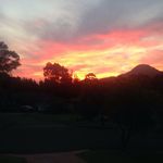 Anne Edgar - @anneedgar12 - Instagram