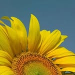 Ann Edgington - @ann.edgington.7 - Instagram