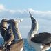 Anne Edson - Facebook