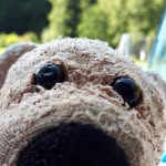 Anne Ehrhardt - @anne.ehrhardt.73 - Instagram