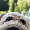 anneehrhardt0 - @anneehrhardt0 - TikTok