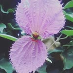 anneeider - @anneeider - Instagram
