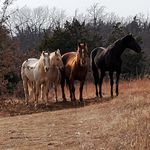 George Anne Eilers - @grammy_gege - Instagram