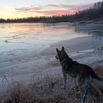 Anne Ejnestrand - @anneejnestrand - Instagram