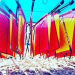 Annette Ehnes - @annetteehnes - Instagram