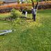 Roy-Arne Anne Ekern - Facebook