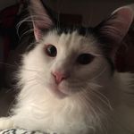 Anne Elam - @anne_elam - Instagram