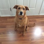 Anne Stratton Elam - @lilahpants - Instagram