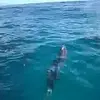 Anne Elliott - @anne.elliott3 - TikTok