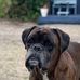 Anne Ellis - Facebook