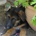 Anne Ellis - Facebook