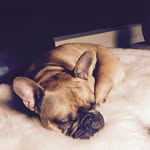 AK - @anneelmstrom - Instagram