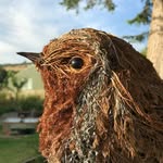 Kelly Anne Elms - @here_comes_kelly - Instagram