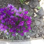 Betty Anne Elphick - Facebook