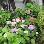 Anne Eshelman - @eshelmananne - Instagram