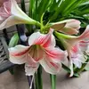 Anne Rettinger - @anne.rettinger - TikTok