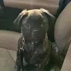 hollyannettinger - @hollyannettinger - TikTok