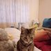 Anne Farrell - Facebook