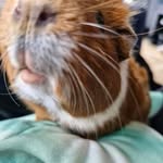 Anne Farrell - @anne.farrell.794 - Instagram