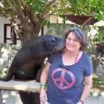 Anne Farrell - @anne.farrell - Instagram