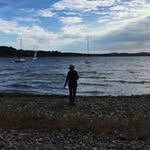 Anne Greensfelder - @annegreensfelder - Instagram