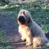 Anne Reckenfelderbaeumer - @anne.reckenfelder - TikTok