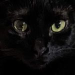 Anne Ferrell Boring - @anneboring - Instagram