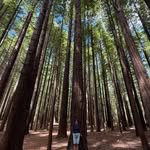 Anne Findlay - @finyonk - Instagram