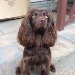 Anne Findlay - Facebook