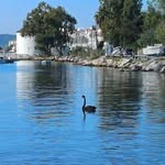 Anne Finney - @afin1946 - Instagram