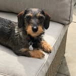 Barbara Anne Finney - @barbaraannefinney - Instagram