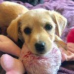 Ripley Anne Finney - @ripleygram - Instagram