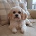 Anne Flood - Facebook