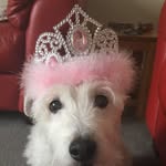 Anne Ford - @anne.ford.9026 - Instagram