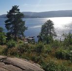 Anne Forest - Facebook
