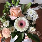 Anne Forrester - Facebook