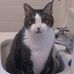 Ann Frick - Facebook