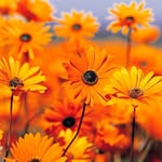 Anne Frick - @frickanne - Instagram
